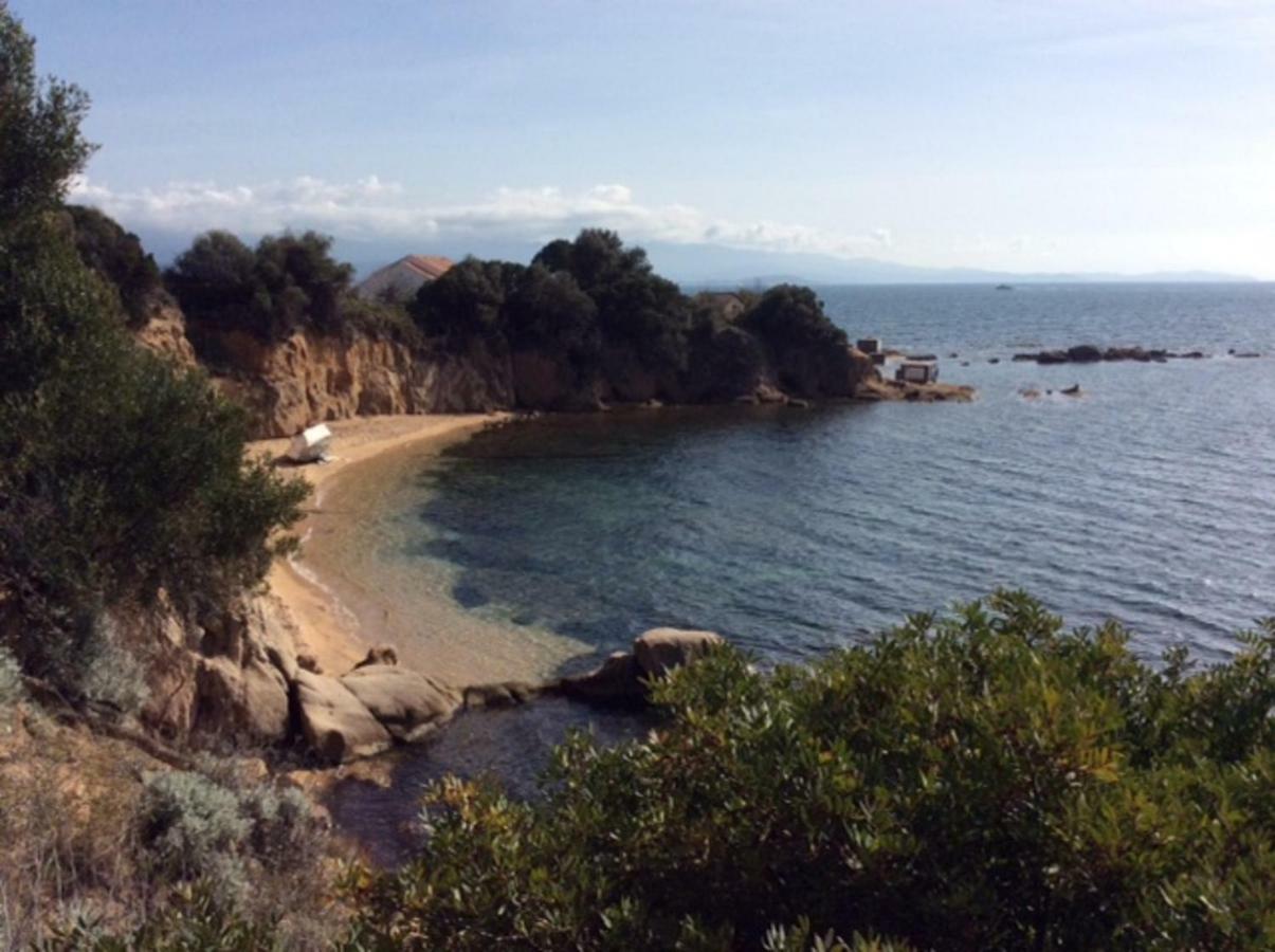 Villa d'exception, piscine, vue mer, plage à 100M Ajaccio (Corsica) Exterior foto