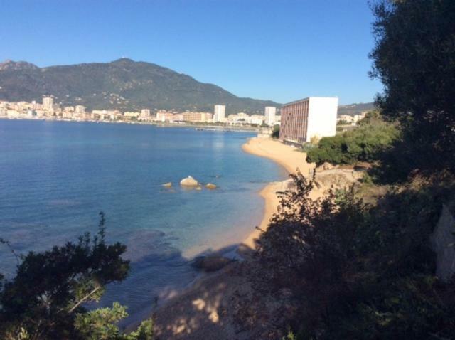 Villa d'exception, piscine, vue mer, plage à 100M Ajaccio (Corsica) Exterior foto